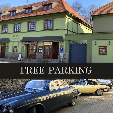 Amadeus & 게스트하우스