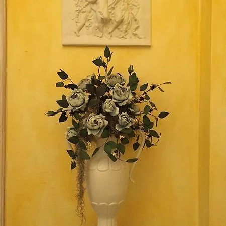 Amadeus & Penzion 3*