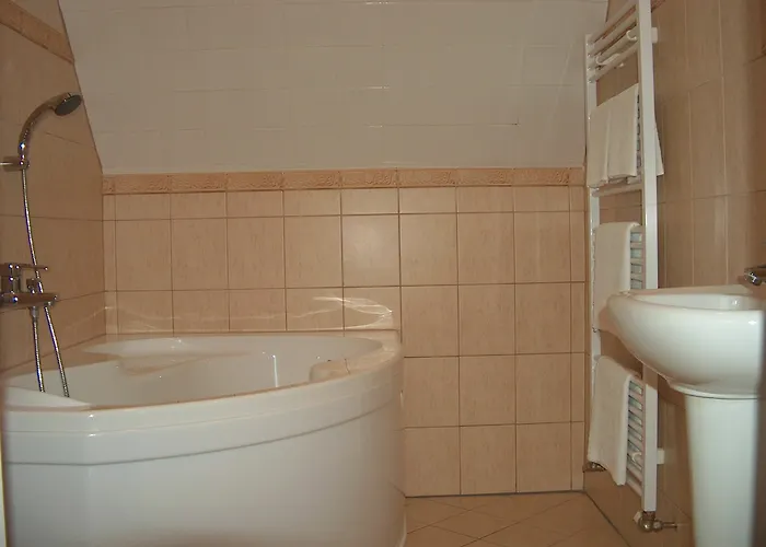 Amadeus & 게스트하우스