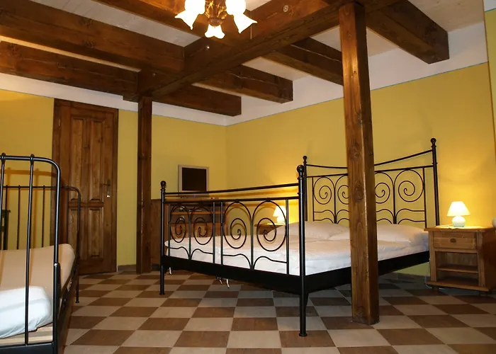 Amadeus & 게스트하우스